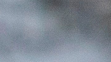 Trump apareció en público sin su cabello del color habitual.