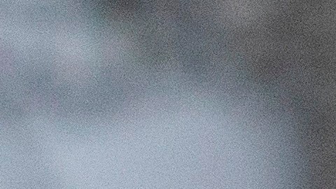 Trump apareció en público sin su cabello del color habitual.