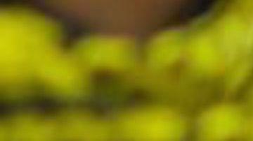 Demandan a conocida tienda de partes de auto. (Shutterstock)