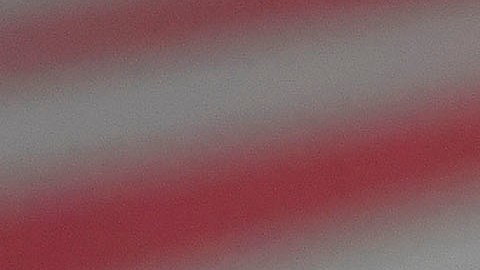 chivas necaxa