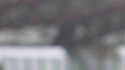 Cristiano Ronaldo se perdió 4 juegos por resultar positivo a COVID-19.
