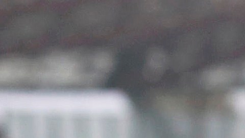Cristiano Ronaldo se perdió 4 juegos por resultar positivo a COVID-19.