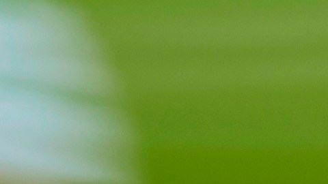 Ousmane Dembelé busca reivindicarse en el Barcelona.