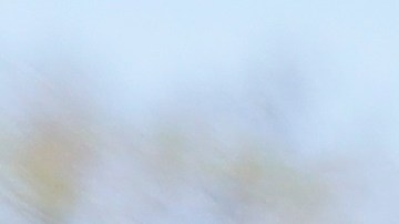 Las mmuestras de cariño a Maradona fuera del hospital donde está internado.