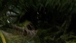 Elecciones 2020 EEUU