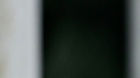 quillermo ochoa retiro seleccion