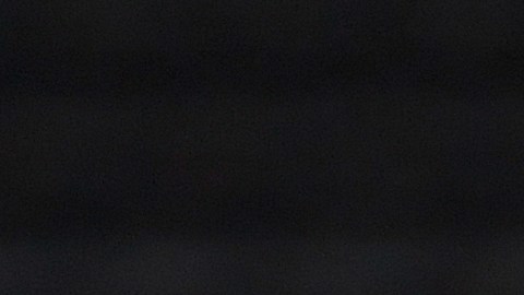 Erling Haaland, la sensación del fútbol mundial.
