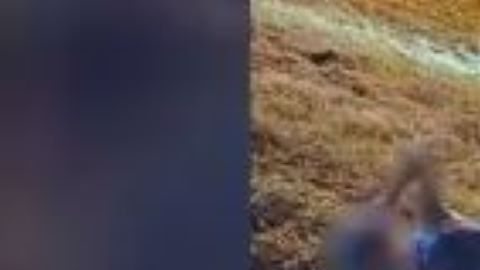 La mujer fue ayudada por agentes.