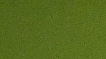 Konrad de la Fuente podría debutar muy pronto en el primer equipo.