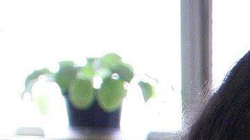 Los científicos llevan medio siglo prediciendo cómo una proteína adquiere una forma tridimensional única.