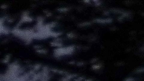 Luna Nueva.