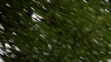 La policía argentina en el domicilio donde falleció Diego Maradona.