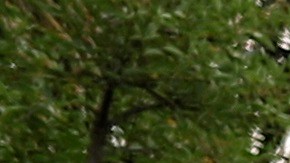 Según el agente de Diego, los vehículos de emergencia tardaron en llegar.