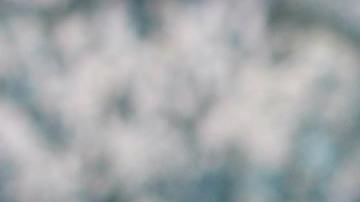 Conoce 3 rituales para atraer el dinero en Año Nuevo.