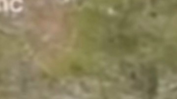 El momento del rescate fue capturado en video.