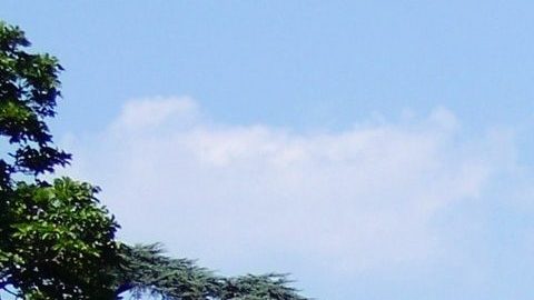 Astrólogos intentan descifrar quién ocupará la Casa Blanca.