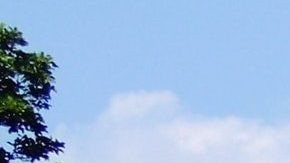 Astrólogos intentan descifrar quién ocupará la Casa Blanca.