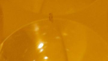 Estos signos zodiacales jamás olvidan un engaño.