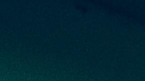 Una suprerrenalectomía incorrecta puede afectar gravemente a la salud del paciente.