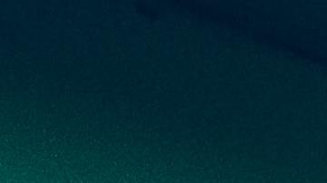 Una suprerrenalectomía incorrecta puede afectar gravemente a la salud del paciente.