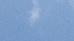 Cuenta la historia que Sócrates era conocido entre sus conciudadanos como "el tábano de Atenas".