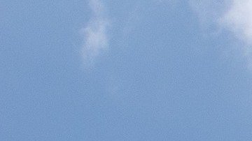 Cuenta la historia que Sócrates era conocido entre sus conciudadanos como "el tábano de Atenas".