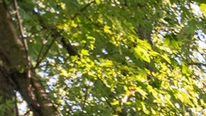 pie-house-mc-main1-2008118_2616dcf6f8dc78ccf897abfedbc3c668.fit-2000w