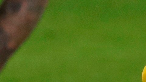 El defensa Gerard Piqué se lesionó ante el Atlético.