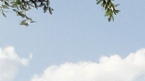 El parque temático ha permanecido cerrado por más de ocho meses.