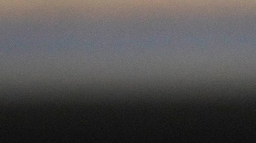 ricardo pelaez inabilitación