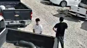 El sospechoso Robert Solís (de camisa blanca) captado en video.