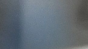 rocio oliva y maradona