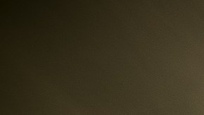 Nostradamus predijo algunas catástrofes.