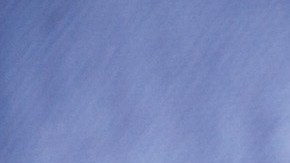 shutterstock_429761875