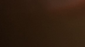 shutterstock_725736175 (1)