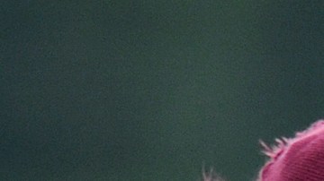 Carlos Vela y Cesc Fábregas entrenando con el Arsenal en 2010.