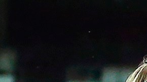 El defensa croata Domagoj Vida (21) celebra un gol con sus compañeros de selección.