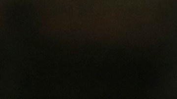 Arturo Vidal celebra su golazo de otro mundo.