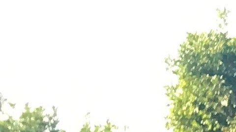 Se ha registrado un récord de voto temprano.