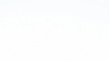 “Canelo” y Smith con Coyote, mascota de los San Antonio Spurs.