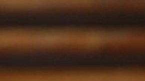 Evo Morales sigue siendo el presidente de su partido político.