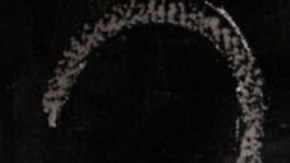 2020 fue un año dominado por el SARS-CoV-2.