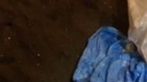 La carcasa fue encontrada por un residente en los bancos de un río en Siberia.