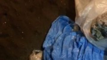 La carcasa fue encontrada por un residente en los bancos de un río en Siberia.