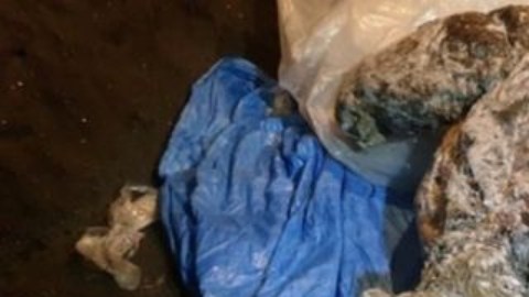 La carcasa fue encontrada por un residente en los bancos de un río en Siberia.