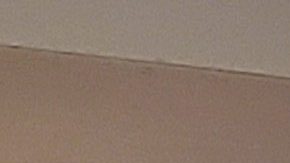 Judy y Mike Sullivan, la generosa pareja de Desert Hot Springs y sus juguetes.