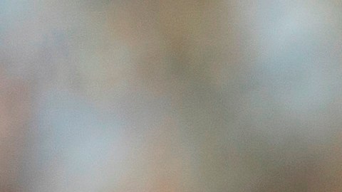 Trump también estaría considerando otorgar indultos preventivos a sus hijos y a su yerno.
