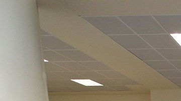 Estados Unidos, India y Brasil, las naciones que reportan más casos de infectados por COVID-19.