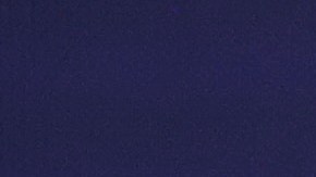 Donald Trump vacuna coronavirus