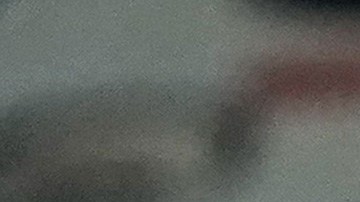 Alejandro Mayorga Chivas